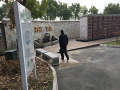 以心为笔，绘就可落地的生命花园